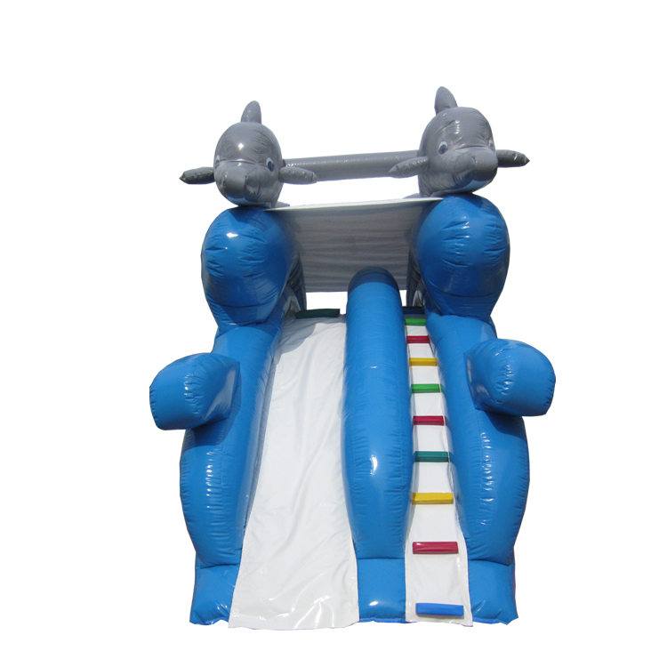 Water slides FLWS-A20034