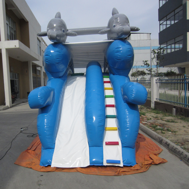 Water slides FLWS-A20034