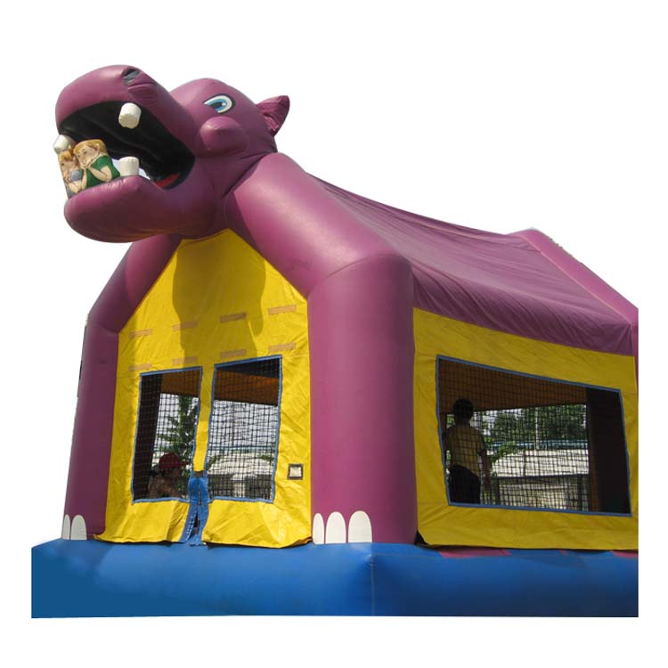Inflatable Bounce FLBO-10043