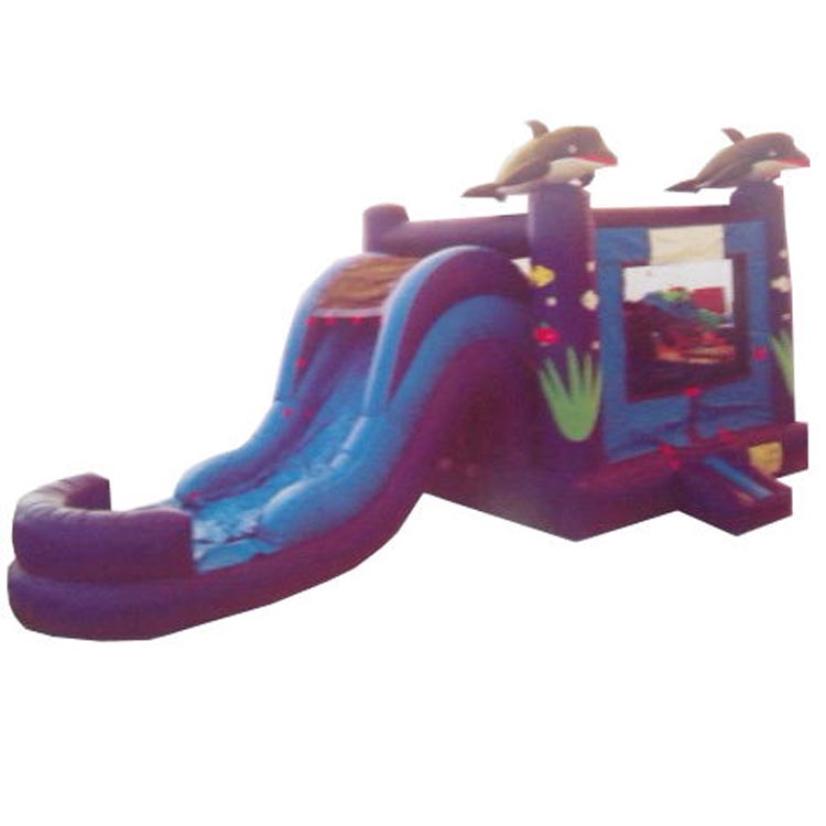 Inflatable Combos FLCO-10013